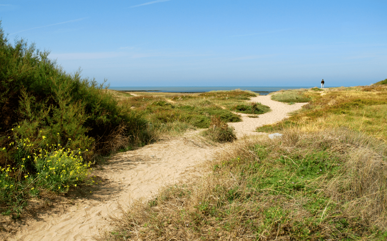 Dune La Cotinière Hôtel La Coursive île d'Oléron