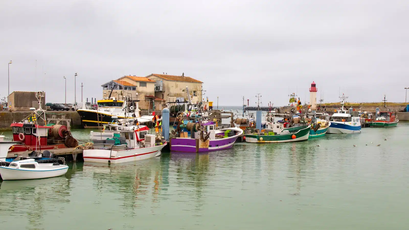 Découvrir La Cotinière Oléron : Port Authentique et Vie Locale 4 Port de La Cotinière - île d'Oléron