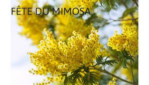 fete du mimosa oleron 2